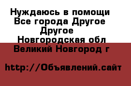 Нуждаюсь в помощи - Все города Другое » Другое   . Новгородская обл.,Великий Новгород г.